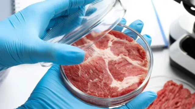 Imagem ilustrativa da notícia Carne de laboratório chegará ao mercado brasileiro em 2024