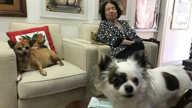 Imagem ilustrativa da notícia Nélida Piñon deixa 4 apartamentos de herança para cachorras