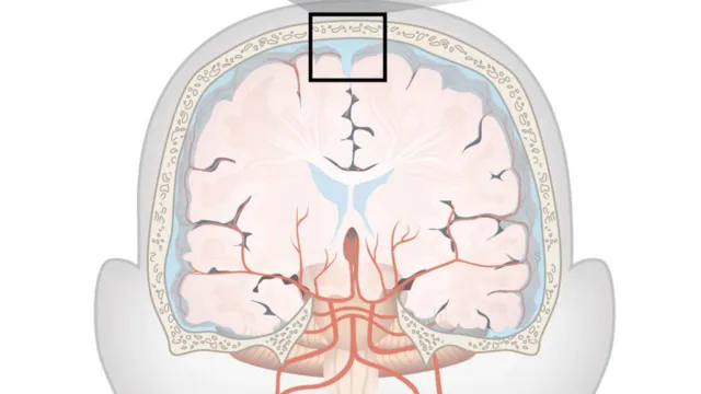 Imagem ilustrativa da notícia Pesquisadores descobrem nova estrutura no cérebro. Veja!