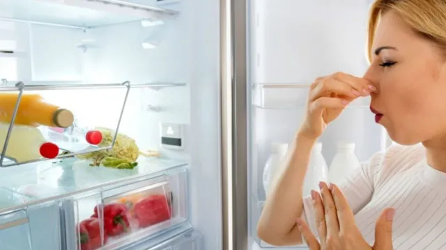 Imagem ilustrativa da notícia Como tirar mau cheiro da geladeira: veja 6 dicas infalíveis!