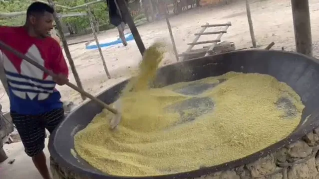 Imagem ilustrativa da notícia De férias, Rony mostra a arte de fazer farinha no Pará 