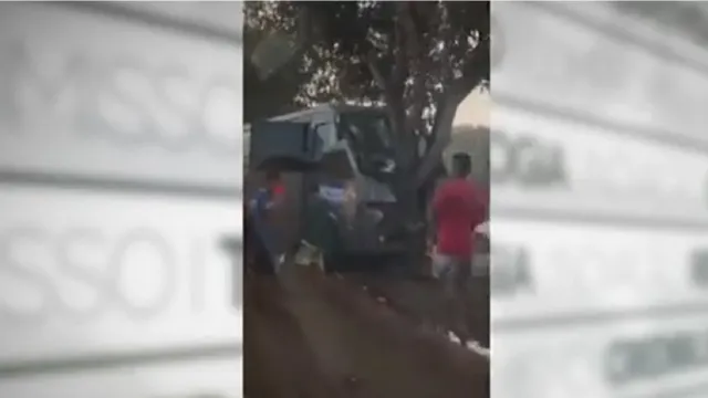 Imagem ilustrativa da notícia Vídeo: micro-ônibus sobe canteiro e bate em árvore no Pará