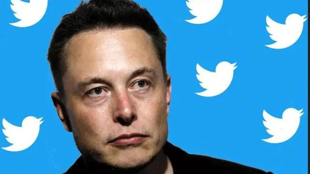 Imagem ilustrativa da notícia 'Falência não está fora de questão', diz Musk sobre Twitter