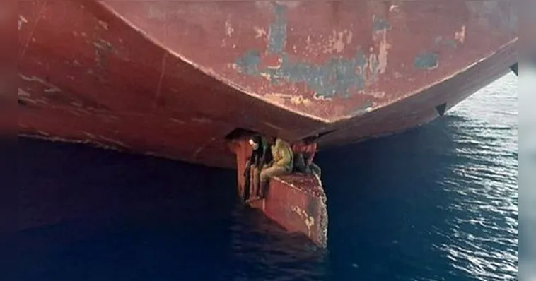 Imagem ilustrativa da notícia Imigrantes viajam escondido em leme de navio por 11 dias
