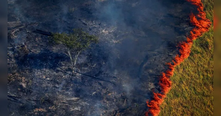 Imagem ilustrativa da notícia Amazônia tem desmatamento recorde em outubro