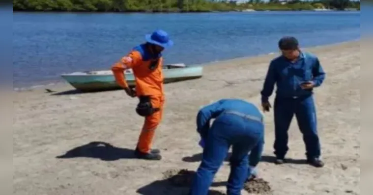 Imagem ilustrativa da notícia Substância misteriosa afasta banhistas de praias na Bahia
