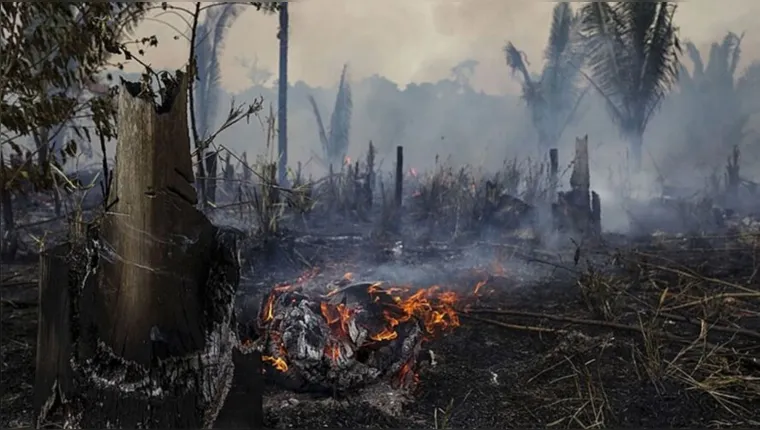 Imagem ilustrativa da notícia Amazônia: queimadas sobem 1.200% após derrota de Bolsonaro