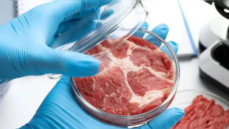 Imagem ilustrativa da notícia Carne de laboratório chegará ao mercado brasileiro em 2024