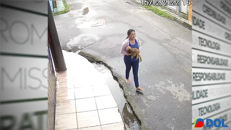 Imagem ilustrativa da notícia Mulher invade casa e rouba cachorro em Ananindeua
