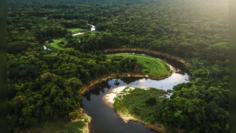 Imagem ilustrativa da notícia Noruega volta a liberar recursos do Fundo Amazônia