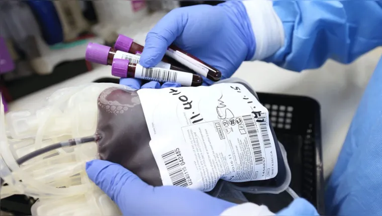 Imagem ilustrativa da notícia Pais rejeitam sangue de vacinados para tratar filho