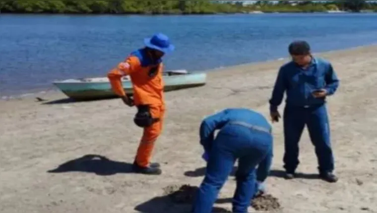 Imagem ilustrativa da notícia Substância misteriosa afasta banhistas de praias na Bahia