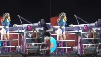 Cantora queria parar uma briga, mas acabou recriando meme