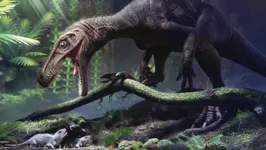 O dinossauro
Gnathovorax é um exemplar de uma das linhagens mais antigas de dinossauros.