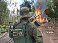 Imagem ilustrativa da notícia Vídeo: aeronave de garimpeiros é destruída em terra Yanomami