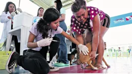 Animais são atendidos com serviços de vacinação antirrábica e consultas com médicos veterinários