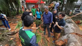 Especialistas da Semma, Ufra e Embrapa devem apresentar a conclusão do estudo sobre as  alternativas para salvar a árvore centenária.