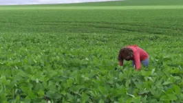 O cadastramento é essencial para ações que mantenham as plantações livres de pragas.