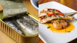 Aprenda a produzir deliciosos pratos em um curto período de tempo usando a sardinha.