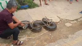 O tamanho da cobra chamou a atenção dos moradores