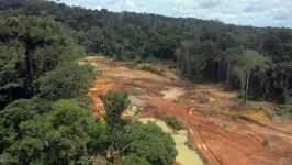 Terra Indígena Yanomami, na Amazônia