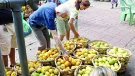 Dos mais variados tipos e tamanhos: tem manga para todos os gostos na cidade e a um preço bom.