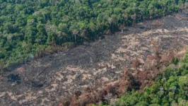 O índice representa um crescimento de 62% em relação ao ano passado.