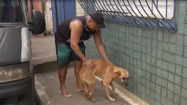 Moradores da área onde o cachorro costumar ficar, vêm ajudando o animal como podem.