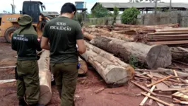 A Secretaria de Estado de Meio Ambiente e Sustentabilidade do Pará também vai formar cadastro reserva