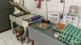 Ao todo, foram apreendidos 279 mil unidades de ovos em Belém.