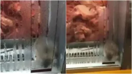 Rato dentro do expositor de carne de um supermercado