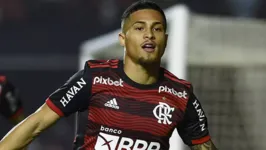 Cria do Flamengo, João Gomes foi negociado com o Wolverhampton, da Inglaterra