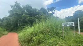 Moradores da comunidade quilombola estão apreensivos com a presença do felino próximo as suas residências, na zona rural de Ananindeua.