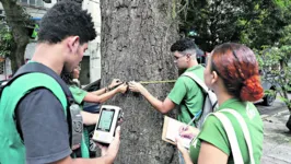 nclinação das árvores e presença de pragas são observados. Informações são repassadas à Prefeitura