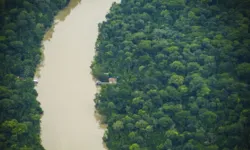 Imagem ilustrativa da notícia Fundo Amazônia já tem R$ 30 milhões para ações ambientais