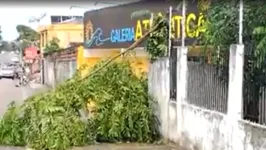 Os ventos chegaram a derrubar uma árvore no bairro São Tomé.