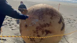 A esfera mede cerca de 1,5 metro de diâmetro