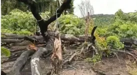 Vídeo feito por um morador detalhou a crueldade do crime