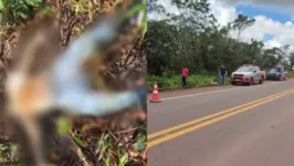 O cadáver estava com as mãos amarradas por uma corda e com duas perfurações de arma de fogo no tórax.