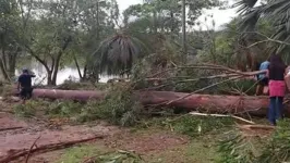 Os pais da criança também ficaram feridos.