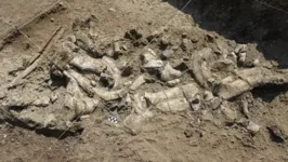 Sítio arqueológico Nyayanga, no Quênia, onde ferramentas de quase 3 milhões de anos foram encontradas.