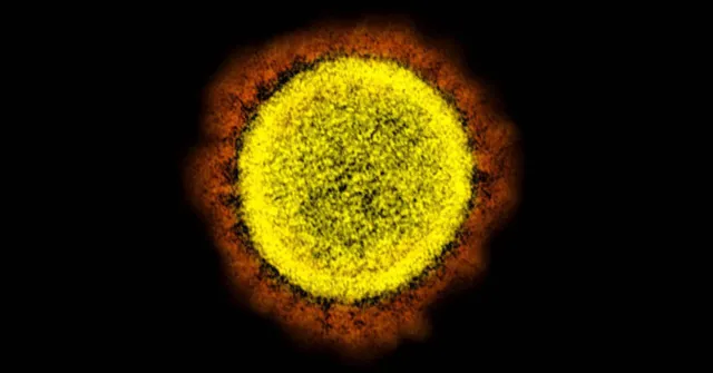 Imagem ilustrativa da notícia Covid-19: Cientistas identificam nova substância antiviral
