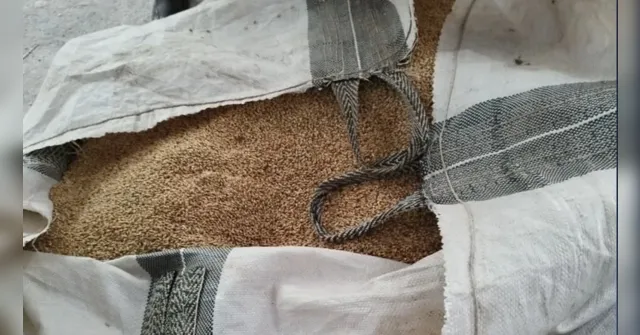 Imagem ilustrativa da notícia Polícia apreende quadrilha que adulterava cerveja no PR