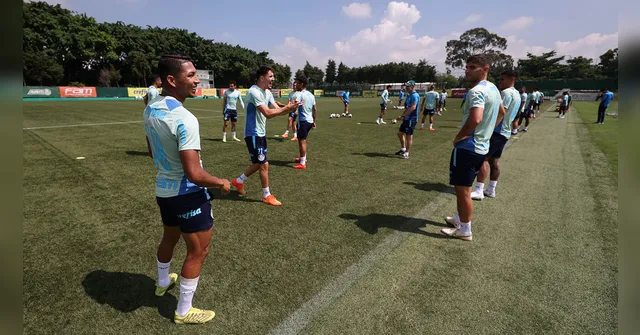 Imagem ilustrativa da notícia Sob cautela, Palmeiras monitora reforços para a temporada