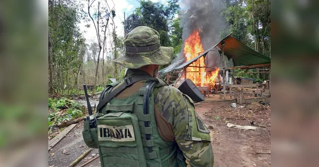 Imagem ilustrativa da notícia Vídeo: aeronave de garimpeiros é destruída em terra Yanomami