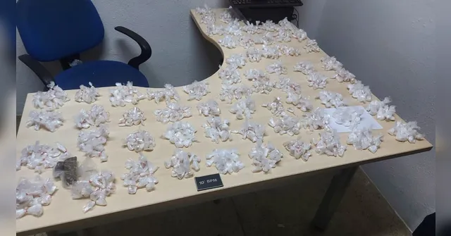 Imagem ilustrativa da notícia PM apreende 630 papelotes de cocaína e maconha em Icoaraci