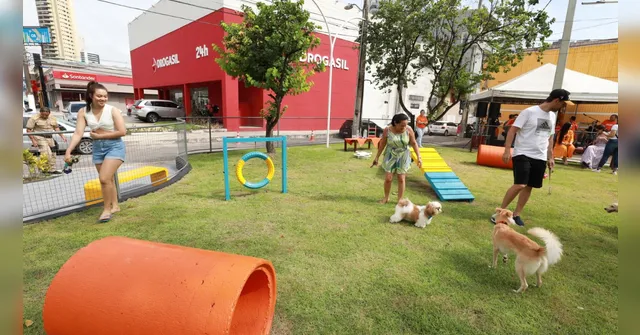 Imagem ilustrativa da notícia 1ª praça pet de Belém terá serviço gratuito de wi-fi