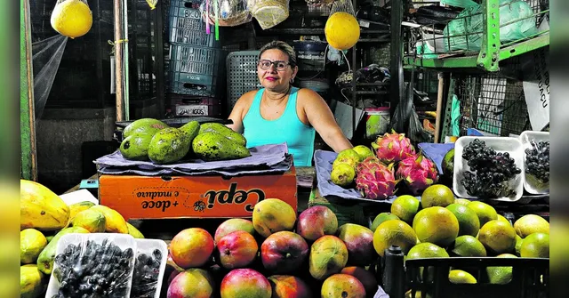 Imagem ilustrativa da notícia Mulheres chefiam mais de 1,2 milhão de lares no Estado