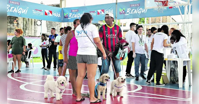 Imagem ilustrativa da notícia Veja como pedir castração gratuita de pets em Belém