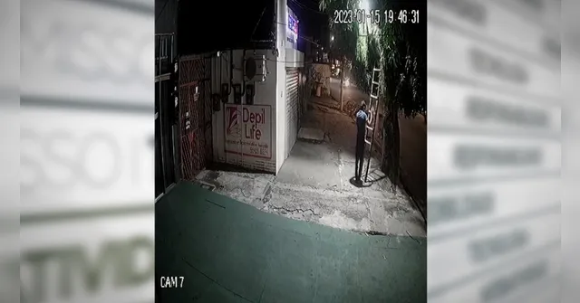 Imagem ilustrativa da notícia Vídeo: homem sobe em árvore e rouba refletor em Belém